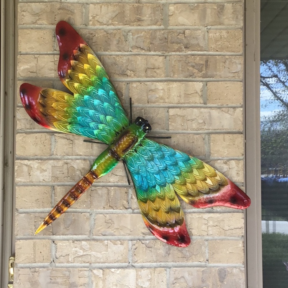 Garden Wall Dragonfly